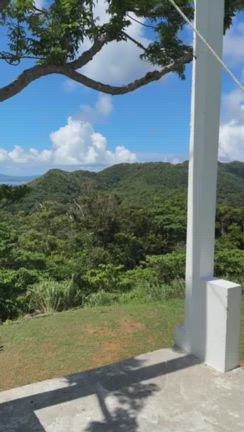 masany landの紹介文作りました。の記事動画