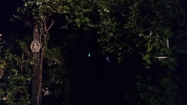 過酸化脂質の記事動画