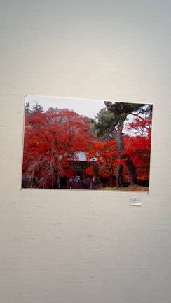 妙義山と御嶽山のご縁に出会えた奇跡の記事動画