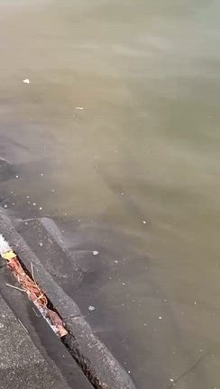 2/28 釣果情報！の記事動画