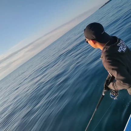 2024/11/12の記事動画