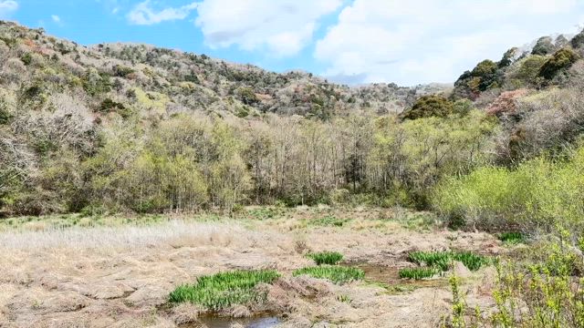 神戸でクルーズ船　♫「Sketches of Spain」の記事動画