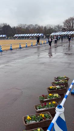 自分との戦いだった10kmラン！の記事動画