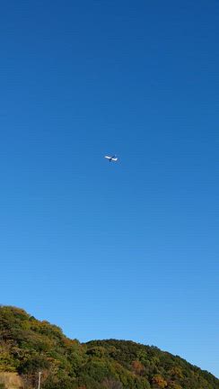 明日！の記事動画