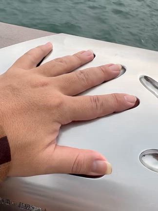 香港の記事動画