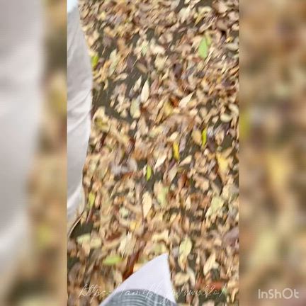 【紅葉狩り2025:②】#番外編｜頑張って咲いてたバラ達 ꫂ ၴႅၴ*.の記事動画