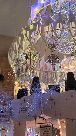 クリスマスマーケット巡り～その② MIRCLE WORLD～（１２月２３日の日記）の記事動画