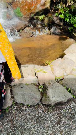 ☆ご感想の前に御福分け☆の記事動画