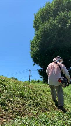ワイシャツの記事動画