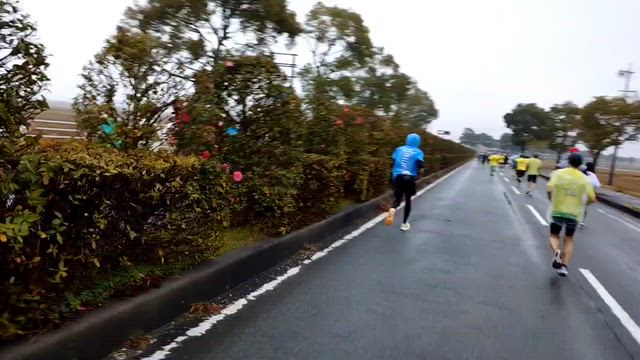 みえ松阪マラソン2025レポ②（スタート～中間地点まで）の記事動画