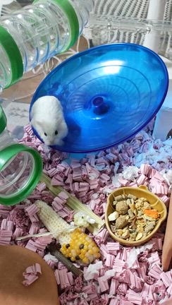 さらっと〜。の記事動画