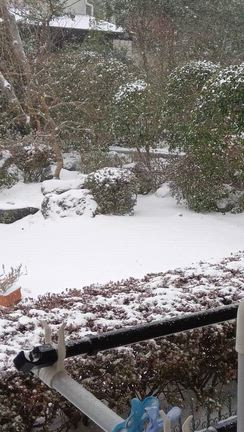 雪❄❄の記事動画