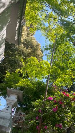 新緑とそよ風に心をゆだねて・・・お朔日参りで整える5月のはじまりの記事動画