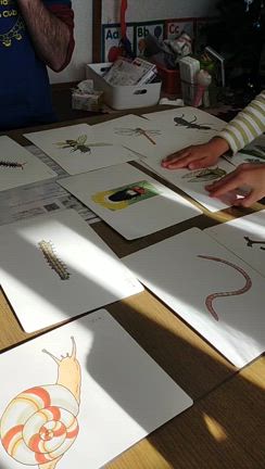 おうち英語　親子で取り組む英語学習　おすすめの英語絵辞典の記事動画