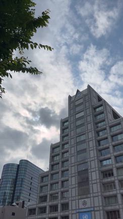 青山の空の記事動画
