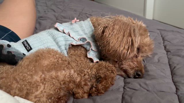 気付いたら知らないおっさんと寝てました。の記事動画