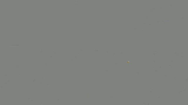 明日！”アコースティックなBLUEDOGSをお届けします。11/30(日)代官山セットリスト”の記事動画