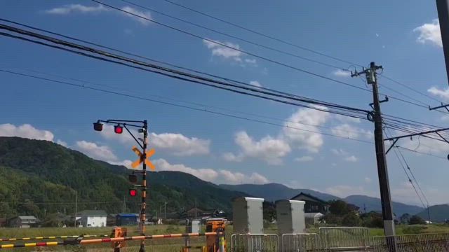 モンキアゲハとお朔日参りの記事動画