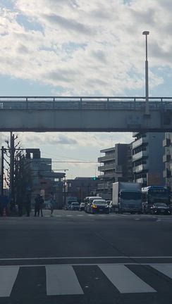 まいかの理想のファミリー♡の記事動画