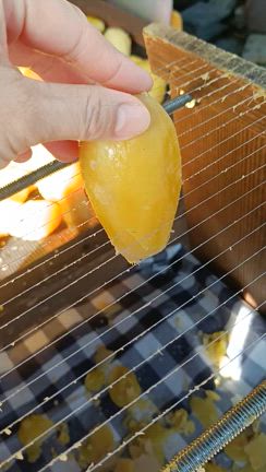 全てが有り難いことの記事動画