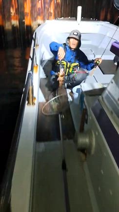 2025.12.20  夜便　ロックフィッシュの記事動画