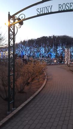 実は…！の記事動画