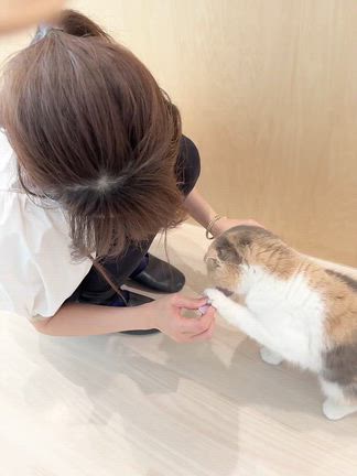 ランフラットタイヤ？ノーマルタイヤ？の記事動画