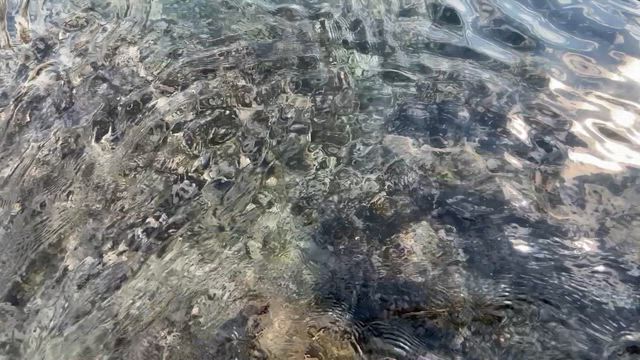 三浦半島　岩礁のみちに行ってきた！の記事動画