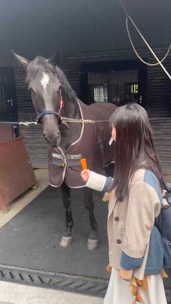 【日刊ゲンダイ】馬顔のテツさん。テツandトモさんと馬事公苑の記事動画