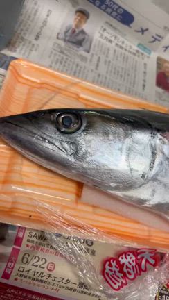 次男の手料理(料理人)パーティーの記事動画