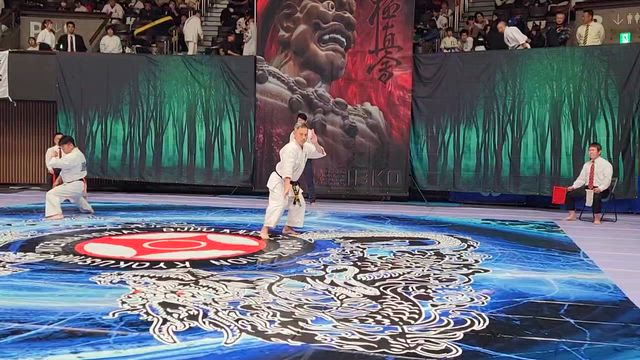 念願の記事動画