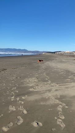 ハッピーフライデーの記事動画