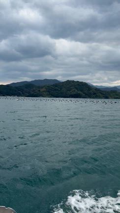 宇和島　２日目の記事動画