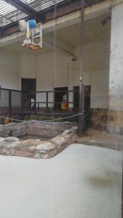 ☆ピースに会いに行ってきましたの記事動画