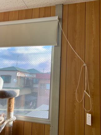 本年もよろしくお願いいたします♪の記事動画