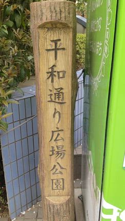 東京校　平和通りにある桜の記事動画