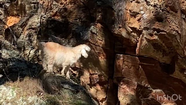 ホビットハウスでひたすらぐうたらの記事動画