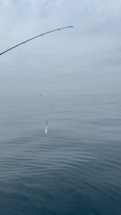 ライトプラッキングゲーム＆フライフィッシングpart2の記事動画