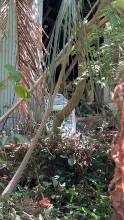 ５時間の格闘に敗れた私（苦笑）の記事動画