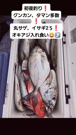 ３１日釣果情報( ╹▽╹ )の記事動画