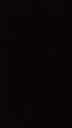 2月11日水曜日の記事動画