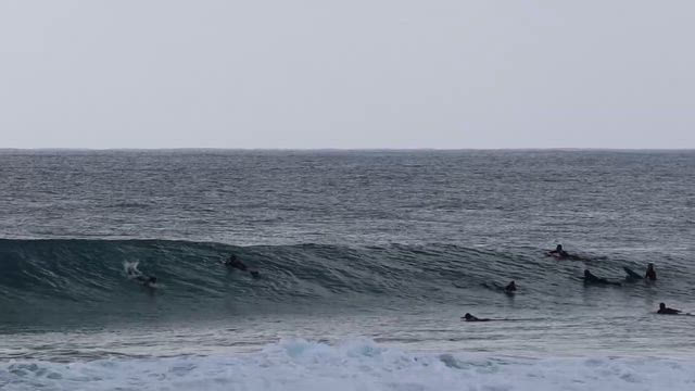 Aポイントセッション6の記事動画