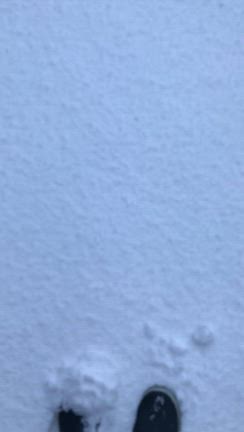 2026/01/07 マティックが死んで今日で2ヶ月。今朝、強烈な胸の痛みと顎の痛みで目が覚めたの記事動画