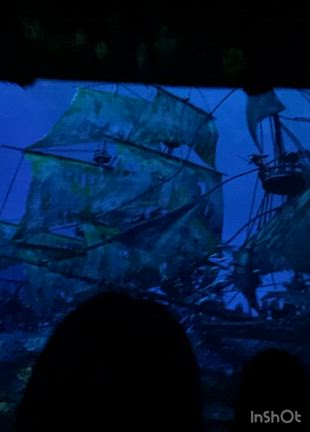 【最新】上海ディズニーレポ⑬パイレーツの映画の世界！カリブの海賊✧*。の記事動画