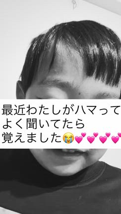 夢中の記事動画