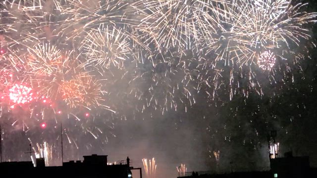 夏の夜空に舞う光の詩の記事動画