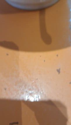 ラーメン浜ねっこ 栗原市築館の記事動画