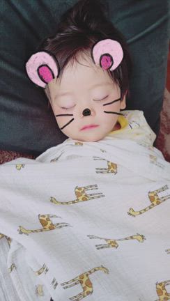 四連休。の記事動画