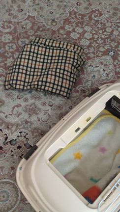 病院もオモチャ持参(笑)の記事動画