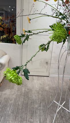 研究会レッスンの記事動画